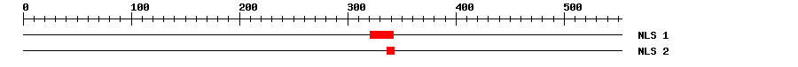 NLS