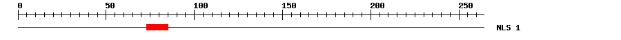 NLS