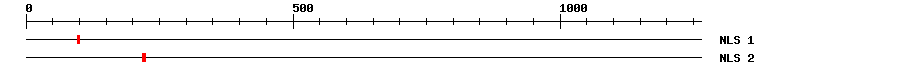 NLS