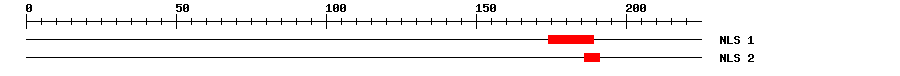 NLS