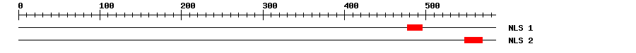 NLS