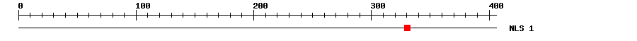 NLS