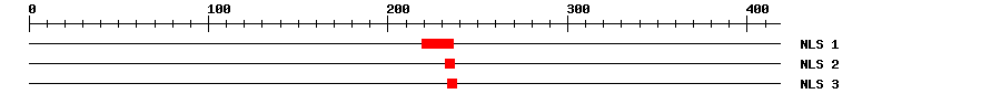 NLS