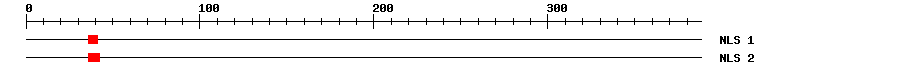 NLS