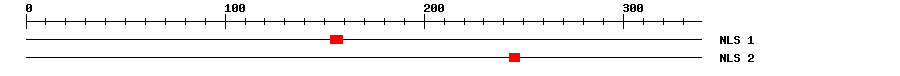 NLS