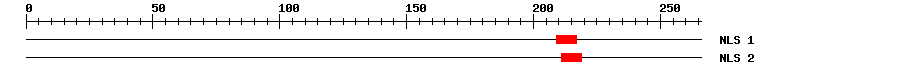 NLS