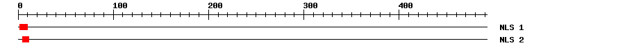 NLS