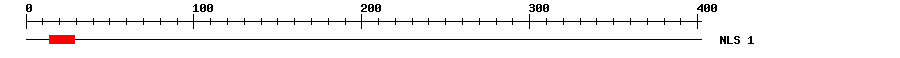 NLS