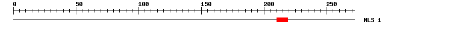 NLS