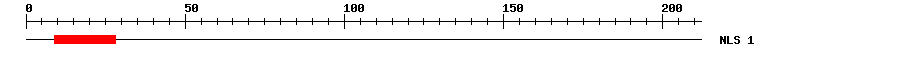NLS