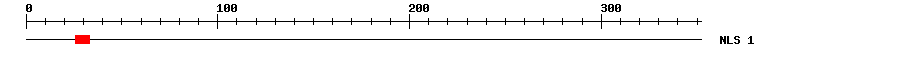 NLS