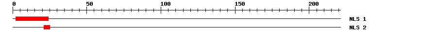 NLS