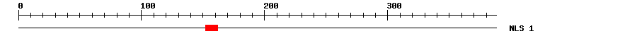 NLS