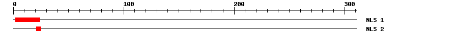 NLS