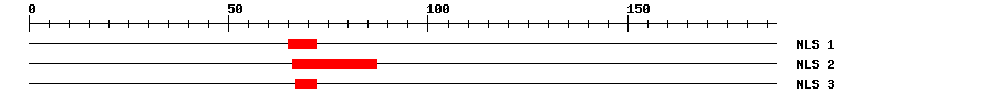 NLS