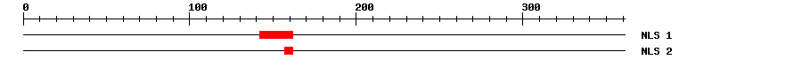 NLS