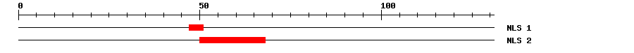 NLS