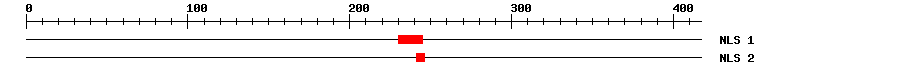NLS