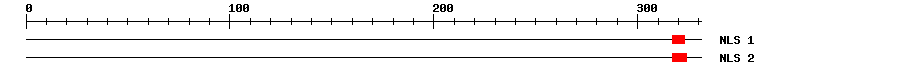 NLS