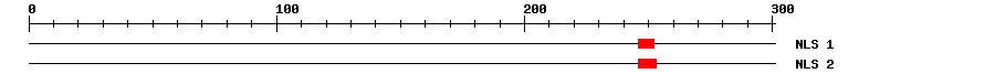 NLS