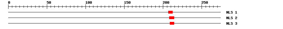 NLS