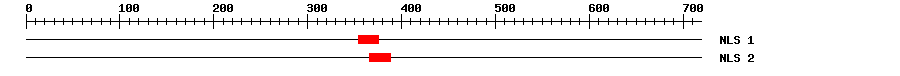 NLS