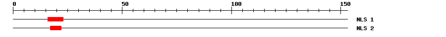 NLS
