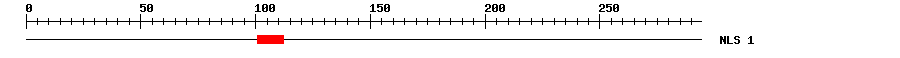 NLS