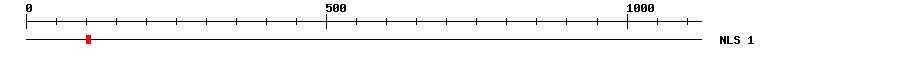 NLS