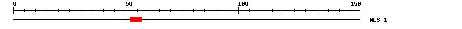 NLS