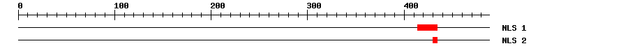 NLS