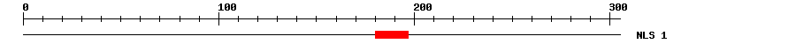 NLS