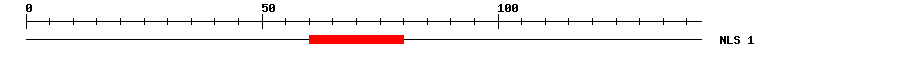 NLS