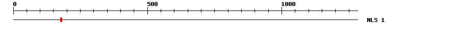 NLS