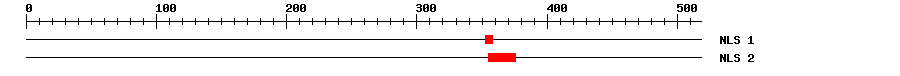 NLS