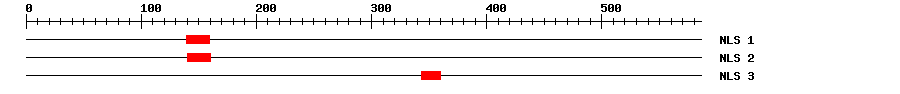 NLS