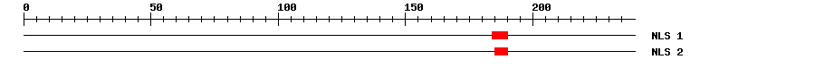 NLS