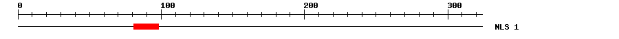 NLS