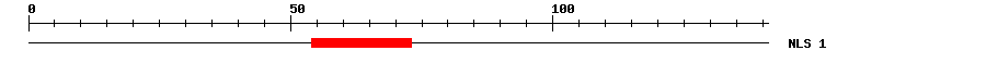 NLS