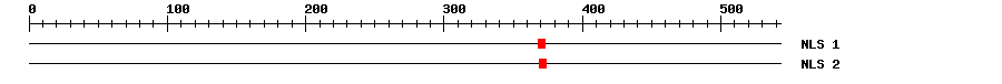 NLS