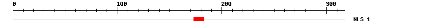 NLS
