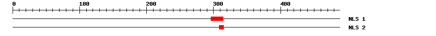 NLS