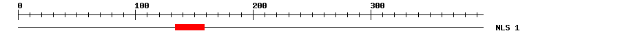 NLS