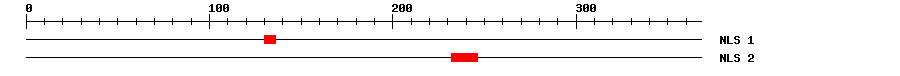 NLS