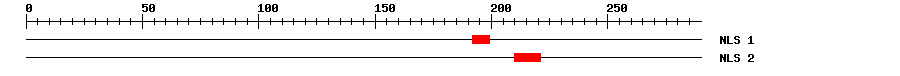 NLS