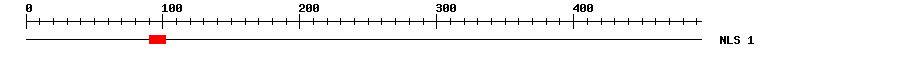NLS