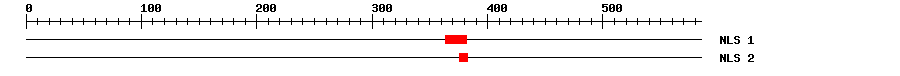 NLS