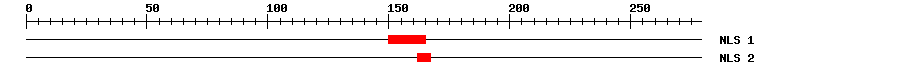 NLS