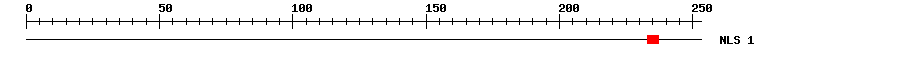 NLS