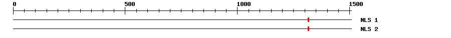 NLS